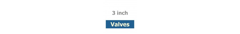 3 inch Valves